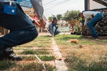 Si el Bulevar respira bien, la comunidad respira mejor