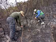 Dagma realiz&oacute; verificaci&oacute;n de afectaciones tras incendio en cerro La Bandera