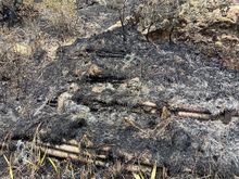 Dagma realiz&oacute; verificaci&oacute;n de afectaciones tras incendio en cerro La Bandera