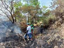 Dagma realiz&oacute; verificaci&oacute;n de afectaciones tras incendio en cerro La Bandera