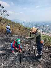 Dagma realiz&oacute; verificaci&oacute;n de afectaciones tras incendio en cerro La Bandera