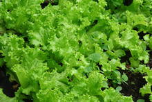 La Gracia de Dios: un comedor que construye tejido en su comunidad