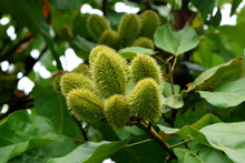 La Gracia de Dios: un comedor que construye tejido en su comunidad