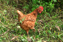 La Gracia de Dios: un comedor que construye tejido en su comunidad