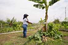 Soplan &lsquo;Vientos de Libertad&rsquo; en Llano Verde