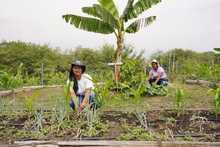 Soplan &lsquo;Vientos de Libertad&rsquo; en Llano Verde