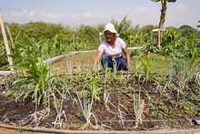 Soplan &lsquo;Vientos de Libertad&rsquo; en Llano Verde