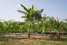 Soplan &lsquo;Vientos de Libertad&rsquo; en Llano Verde
