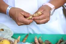 Cali tiene huertas para la vida, cambio clim&aacute;tico y apoyo al emprendimiento