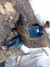 Incendios forestales arrasan la vida y desplazan la fauna en monta&ntilde;as de Cali