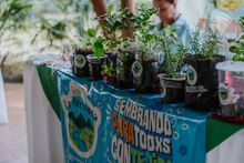 Cali siembra esperanza con el Tercer Encuentro Distrital de Huertas