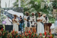 Cali siembra esperanza con el Tercer Encuentro Distrital de Huertas