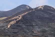 &ldquo;No existen incendios espont&aacute;neos, es inadmisible que tengamos estas conductas soci&oacute;patas&rdquo;: Secretario de Gesti&oacute;n del Riesgo de Cali