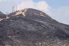 &ldquo;No existen incendios espont&aacute;neos, es inadmisible que tengamos estas conductas soci&oacute;patas&rdquo;: Secretario de Gesti&oacute;n del Riesgo de Cali