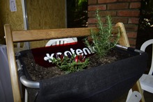 J&oacute;venes de &lsquo;Cali Incluyente&rsquo; dejan huella en el &lsquo;Tercer Encuentro Distrital de Huertas&rsquo;