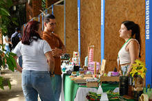 Huertas urbanas tocan la puerta de los famosos&nbsp;