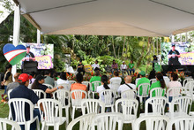 Huertas urbanas tocan la puerta de los famosos&nbsp;
