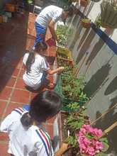 Huerta escolar cale&ntilde;a participa en concurso internacional