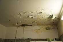 La plaza de mercado El Porvenir va a quedar &lsquo;titina&rsquo;