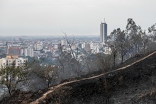 El aire, otro beneficiado con el trabajo de los organismos de socorro