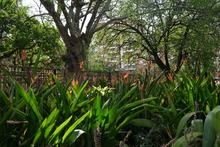 Comunicado a la ciudadan&iacute;a y los medios de comunicaci&oacute;n sobre incendio en inmediaciones del Proyecto Integral Cristo Rey