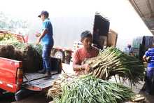 En Cali, las plazas de mercado se enfocan hacia la gesti&oacute;n empresarial y el mercadeo 