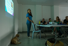 Red de Animalistas Zoolidarios del CBA es una realidad