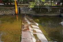 Dagma hace recorridos para evaluar condiciones del agua en el r&iacute;o Cali y sus afluentes