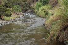 Dagma hace recorridos para evaluar condiciones del agua en el r&iacute;o Cali y sus afluentes