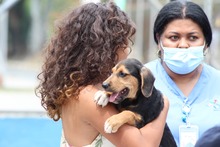 La solidaridad tambi&eacute;n es una expresi&oacute;n de amor