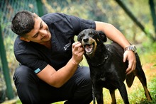 &iexcl;En Barranquilla me quedo!: Elsa