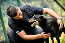 &iexcl;En Barranquilla me quedo!: Elsa