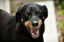 &iexcl;En Barranquilla me quedo!: Elsa