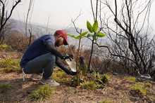 Cali se levanta para sanar las heridas del fuego en el cerro Altos de Menga