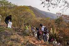 Cali se levanta para sanar las heridas del fuego en el cerro Altos de Menga