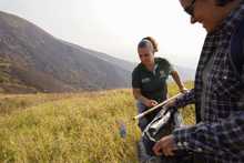 Cali se levanta para sanar las heridas del fuego en el cerro Altos de Menga