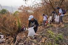 Cali se levanta para sanar las heridas del fuego en el cerro Altos de Menga