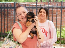 11 caninos encontraron hogar hoy, 20 esperan que les llegue el amor