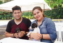 11 caninos encontraron hogar hoy, 20 esperan que les llegue el amor