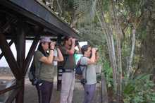 En tres horas se avistaron 65 aves, arranc&oacute; el censo de p&aacute;jaros 