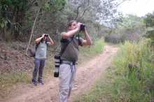 En tres horas se avistaron 65 aves, arranc&oacute; el censo de p&aacute;jaros 