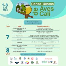 En tres horas se avistaron 65 aves, arranc&oacute; el censo de p&aacute;jaros 