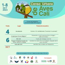 En tres horas se avistaron 65 aves, arranc&oacute; el censo de p&aacute;jaros 