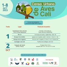 En tres horas se avistaron 65 aves, arranc&oacute; el censo de p&aacute;jaros 