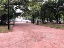 Paseo Bol&iacute;var del Parque Central, segunda megaobra culminada por la Administraci&oacute;n Ospina