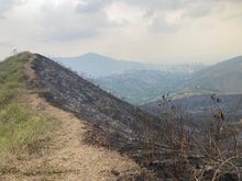 Labor tit&aacute;nica de guardabosques del Dagma, comunidad y bomberos para contrarrestar incendios forestales