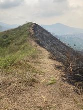 Labor tit&aacute;nica de guardabosques del Dagma, comunidad y bomberos para contrarrestar incendios forestales