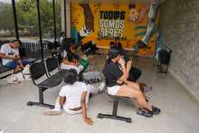 Cali celebr&oacute; el D&iacute;a Mundial de los Animales con servicios gratuitos para los consentidos del hogar