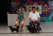 Cali celebr&oacute; el D&iacute;a Mundial de los Animales con servicios gratuitos para los consentidos del hogar