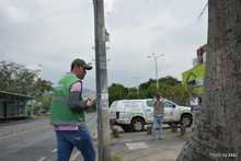 Pudo m&aacute;s la inconsciencia: autoridades ambientales tendr&aacute;n que talar octogenaria Ceiba Pentandra